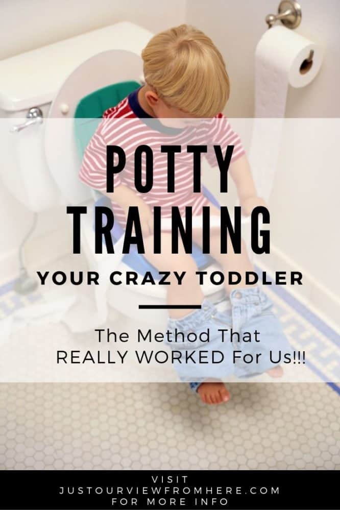 Oh Crap Potty Training: Our Experience ~ Just Our View From Here