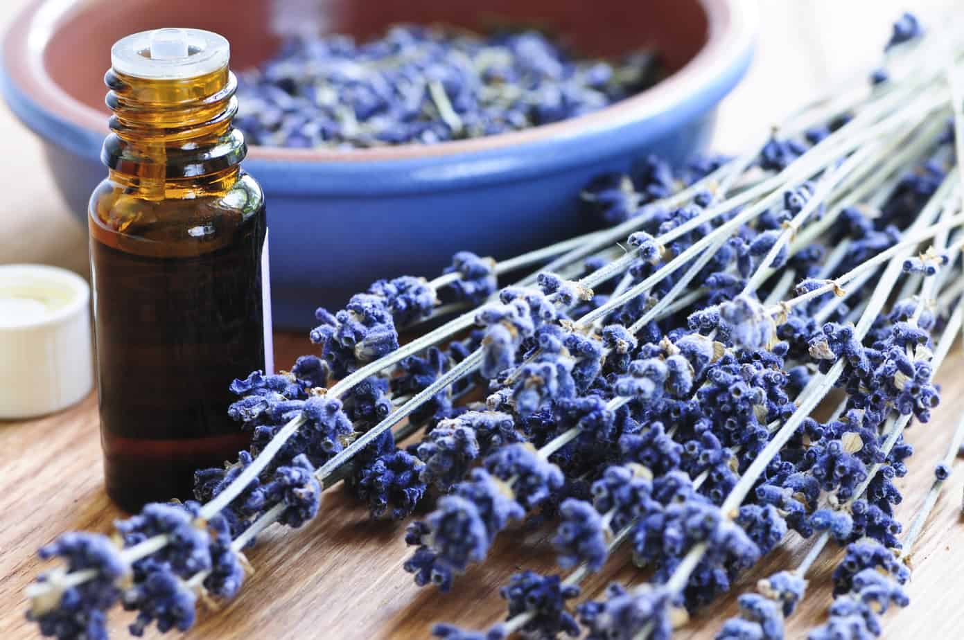 lavender and frankincense blend for skin