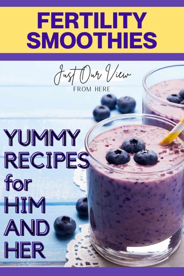 Fertility Smoothie Recipes For Him And Her ~ Just Our View From Here 7571