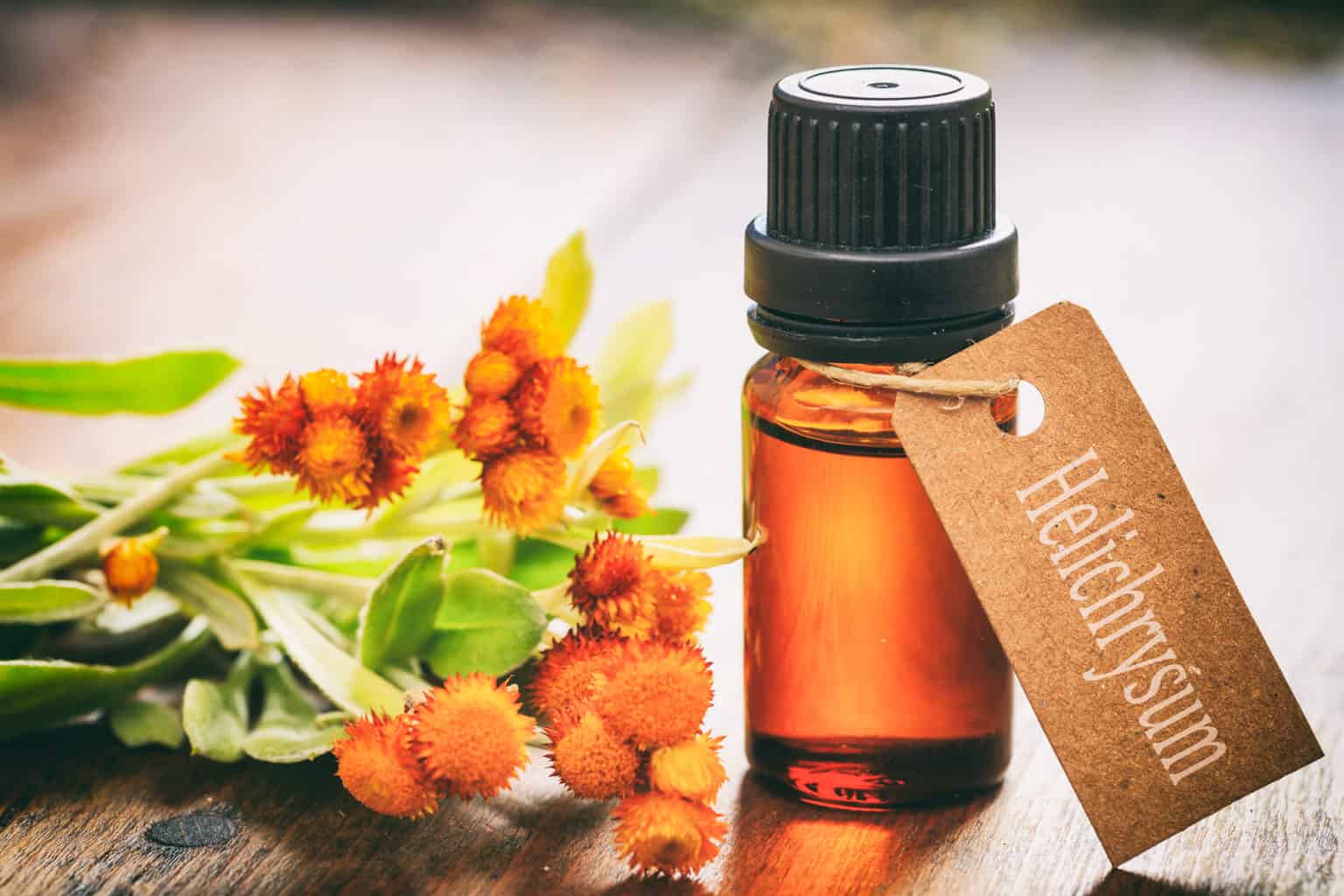 helichrysum essential oil benefits uses