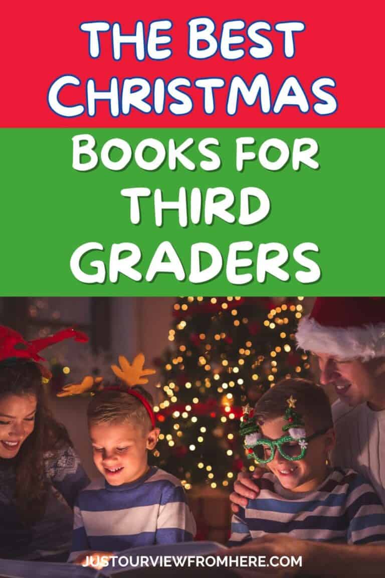 Best Christmas Books For 3rd Graders Just Our View From Here